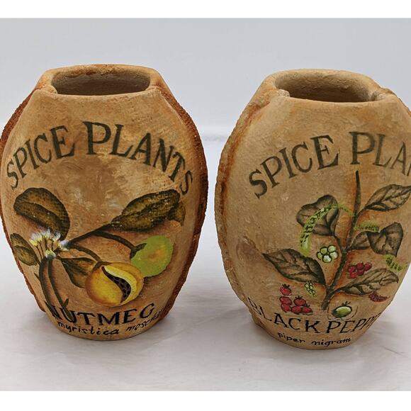 Spice Plants Jars Pair Nutmeg Myristica Moschata Black Pepper Piper Philippines - Picture 1 of 11